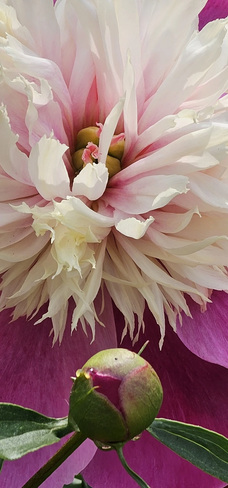 1683756680009.jpg?type=w773