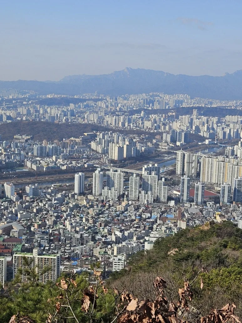 KakaoTalk_20241211_075730150.jpg?type=w773