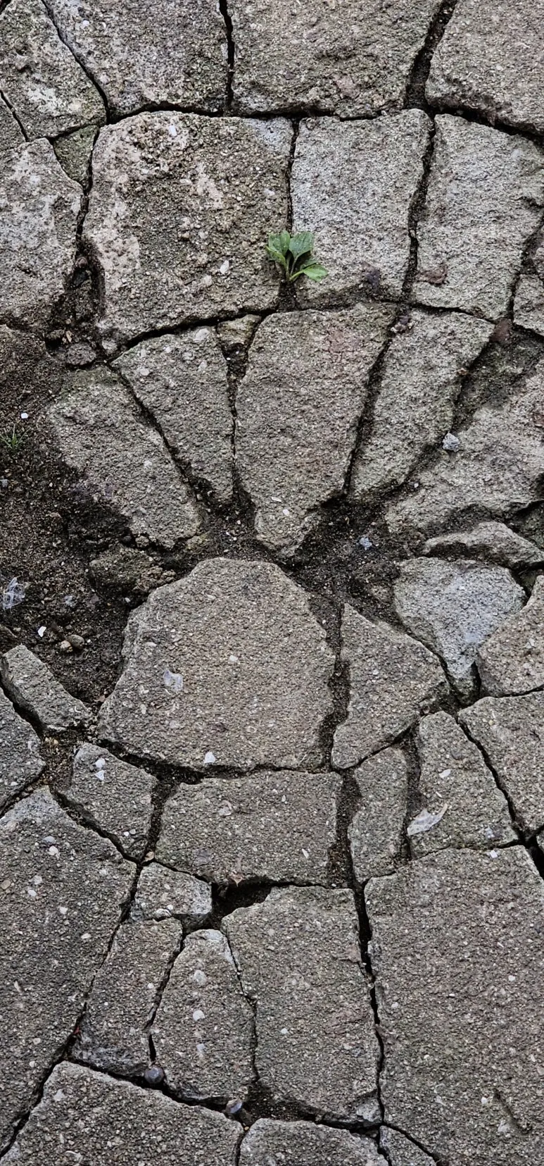 temp_1728600760807.-1245062413.jpeg?type=w773