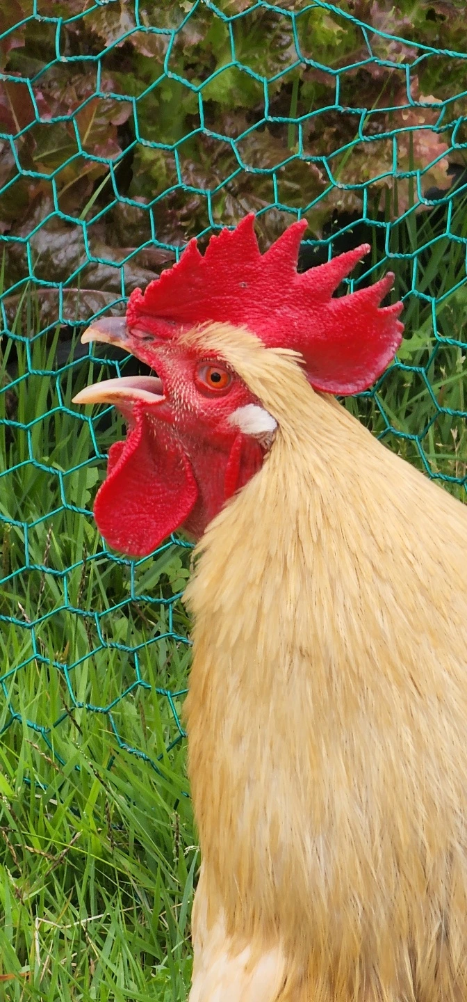 temp_1655157700600.-1767996638.jpeg?type=w773