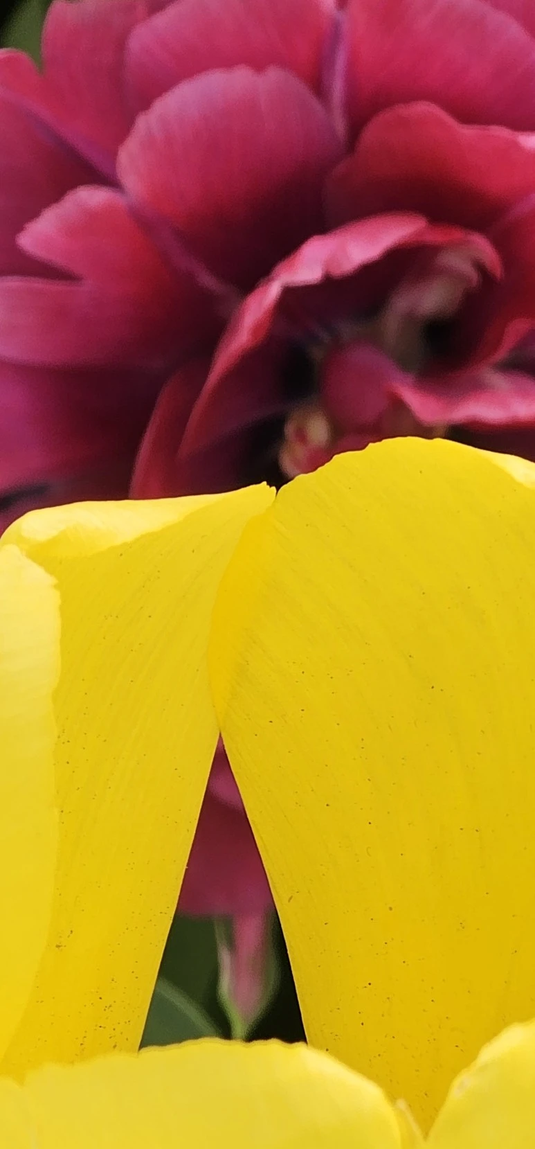 temp_1714344169748.-743780059.jpeg?type=w773