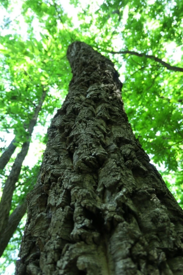 1657059075449.jpg?type=w773