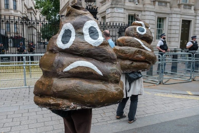 photo-1655578111011-d8d7a6689dbe.jpg?type=w773