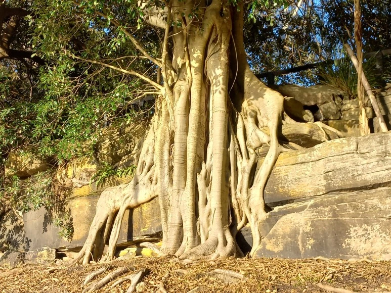 20230519_161030.jpg?type=w773