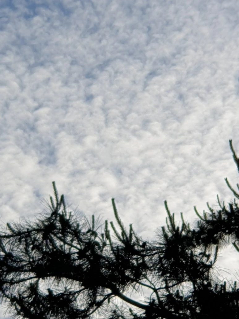 1654639049639-1.jpg?type=w773