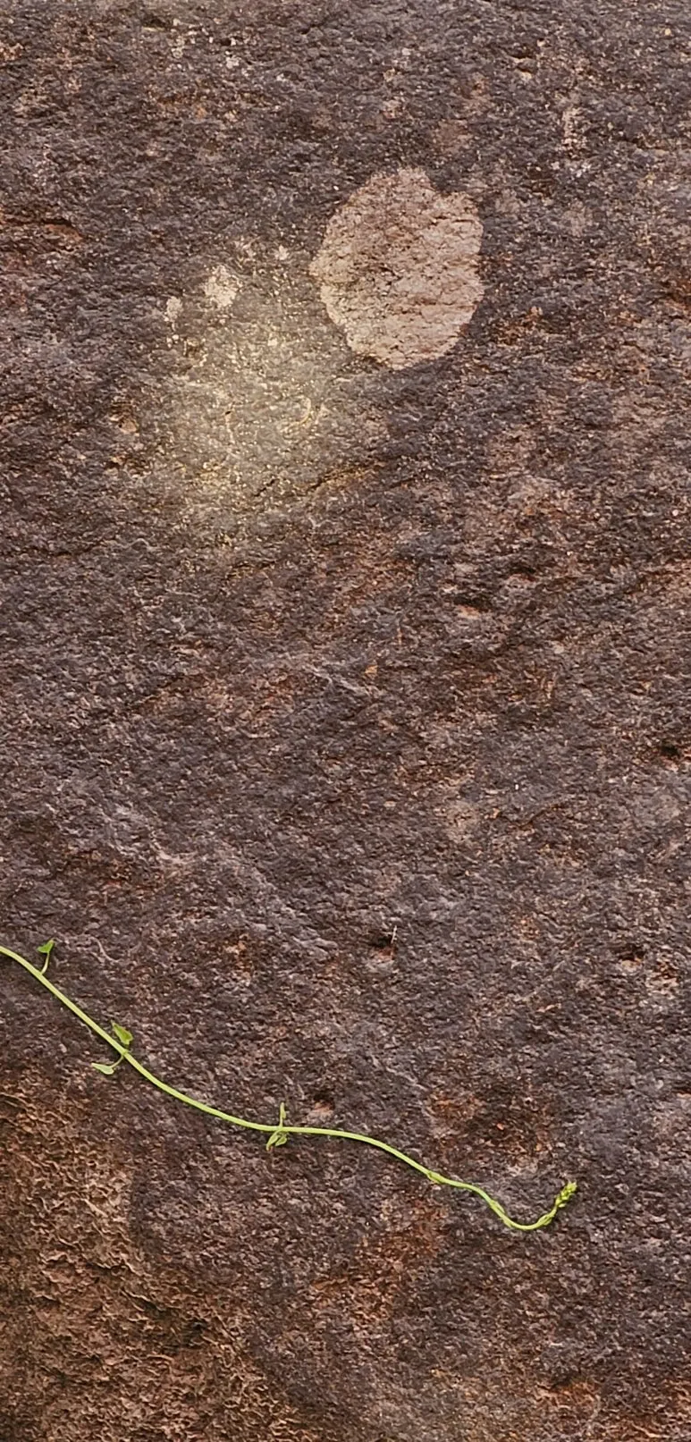 temp_1718663053122.700150619.jpeg?type=w773