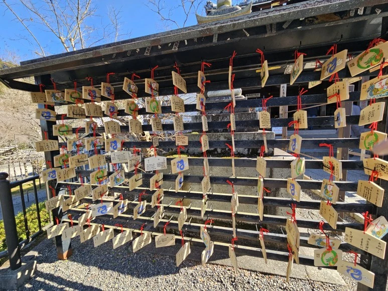 20240117_113521.jpg?type=w773