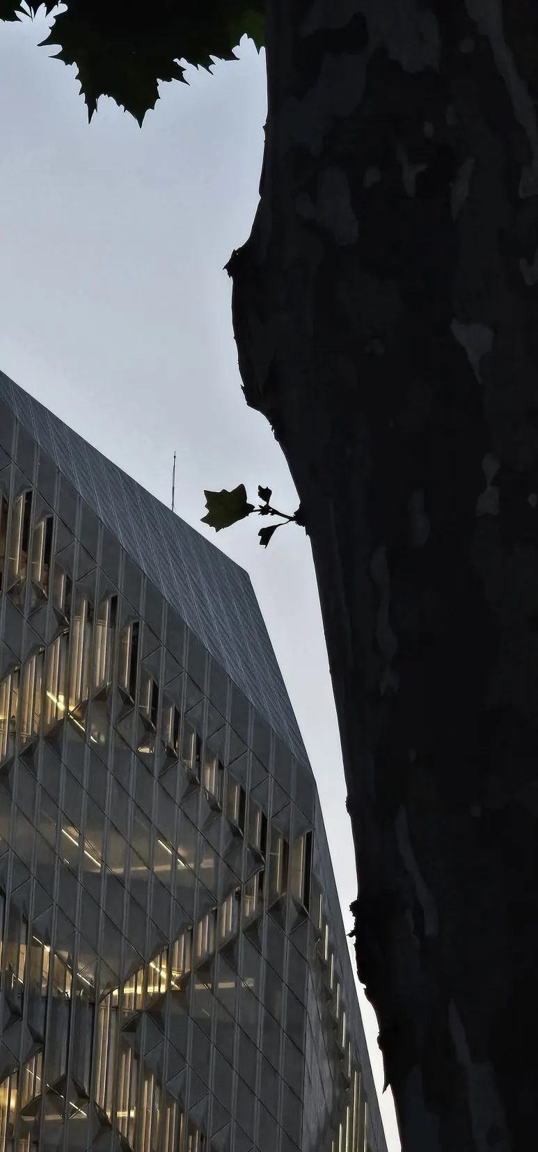 temp_1720475740887.815721903.jpeg?type=w773