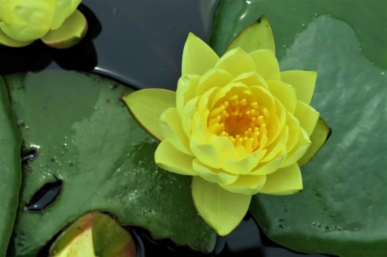 1657666318534.jpg?type=w773