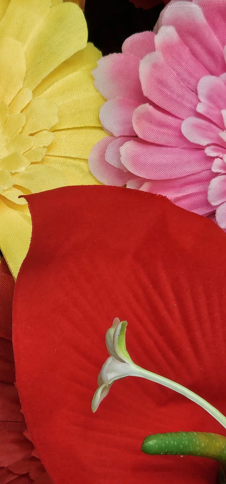 temp_1728340192707.1613980909.jpeg?type=w773