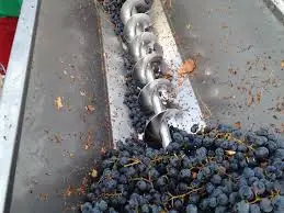 images?q=tbn:ANd9GcTHA12GB-VsMvoekquplunY5M-7fpWO4BqRJ8aMstMD5PtOhWiXmg