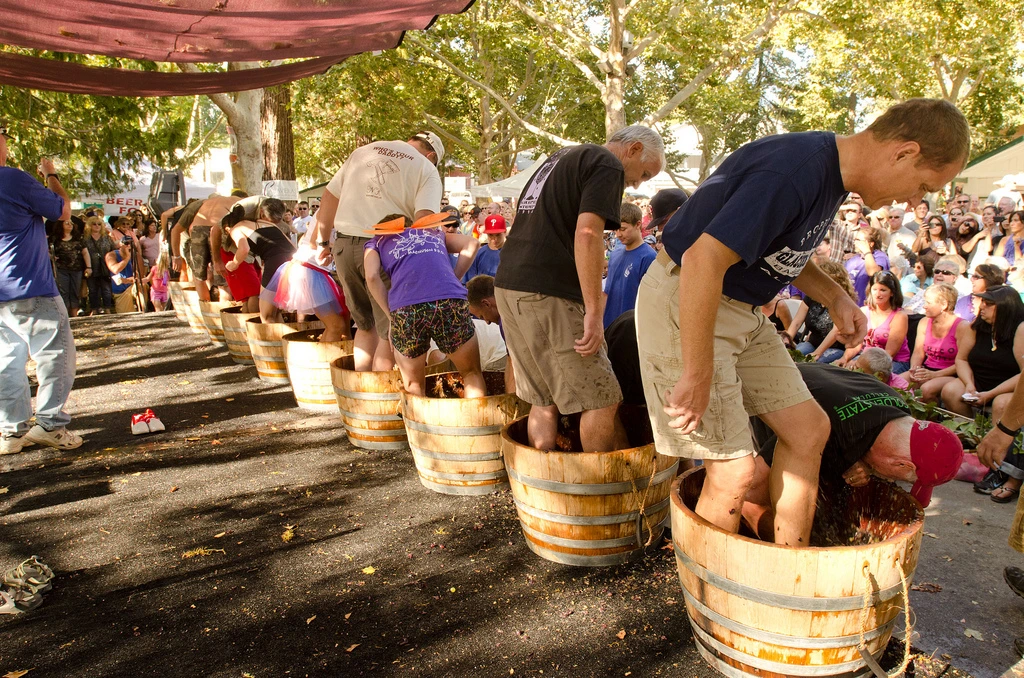 Grape-Stomp-2011.jpg
