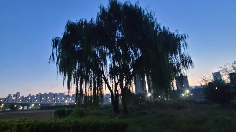 20241102_063519.jpg?type=w773