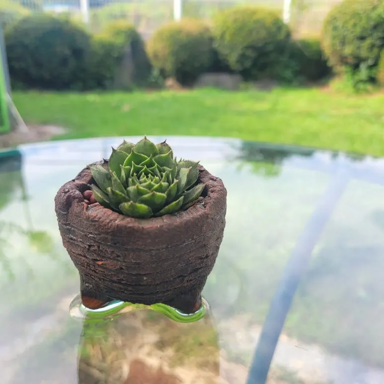 20250914_151558.jpg?type=w773