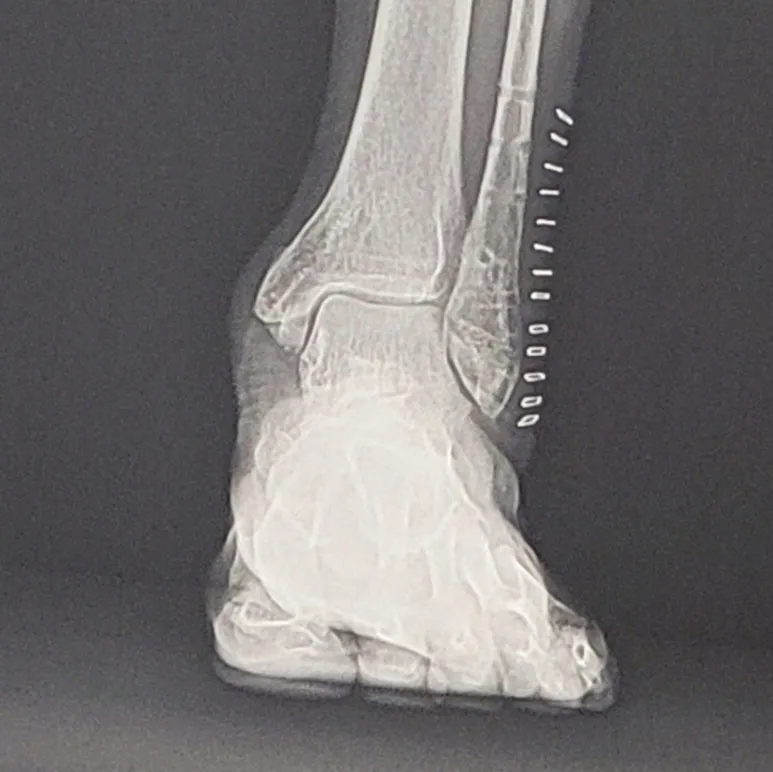 SE-06cc31b0-59af-41a4-90ce-619d87fe5884.jpg?type=w773