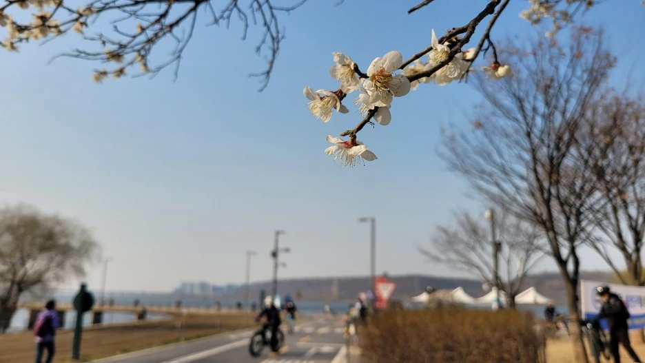 20230318_161702.jpg?type=w1