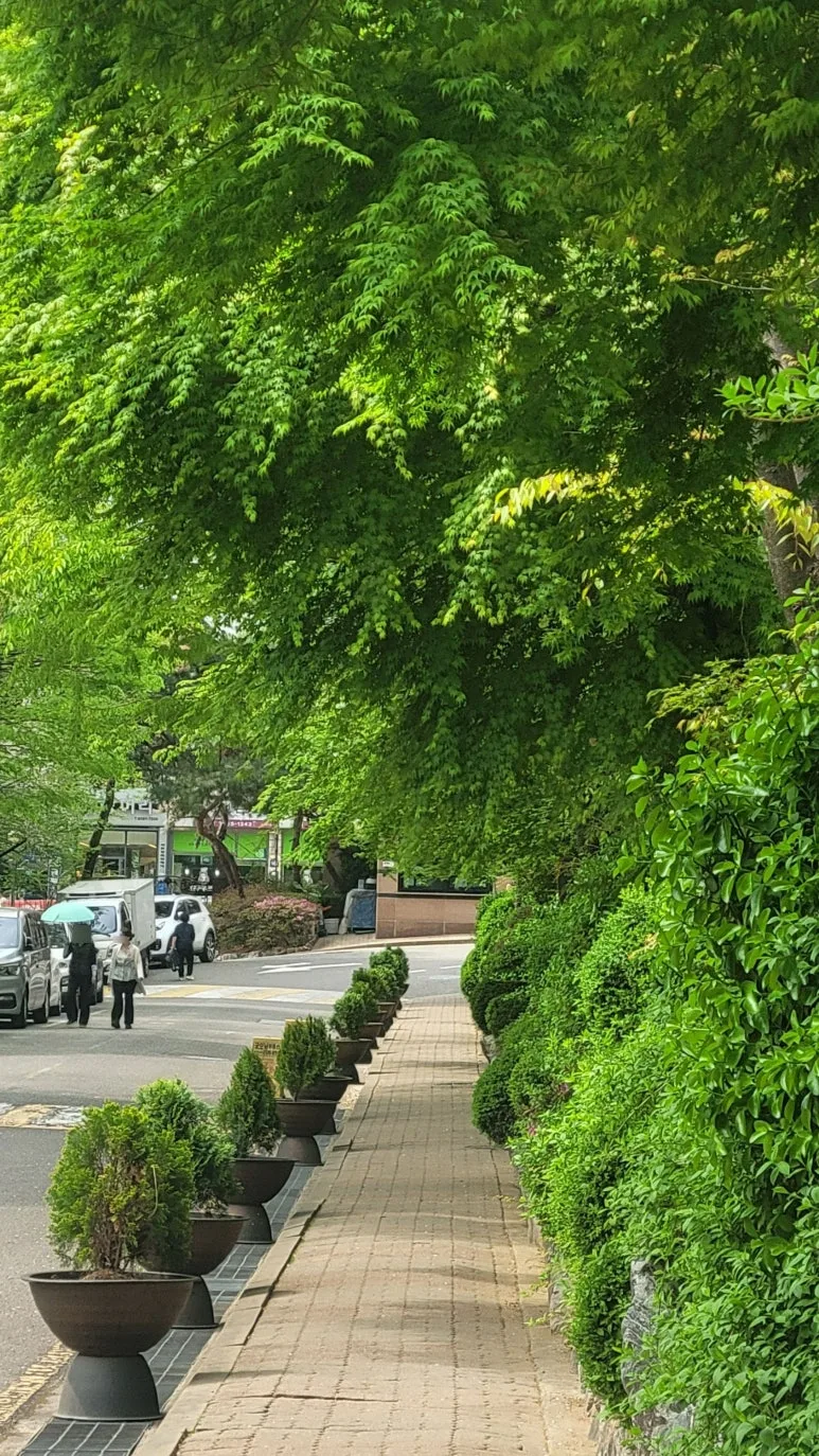 SE-8b1d8727-4df5-49f1-ad3a-80dca32b1d3b.jpg?type=w773