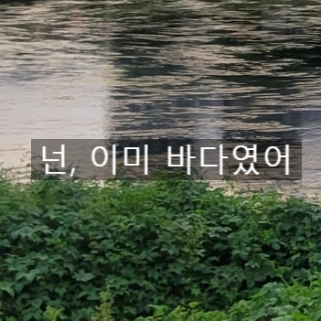 SE-f2e422e0-d43f-4df9-90c8-3322eb32991b.jpg?type=w773