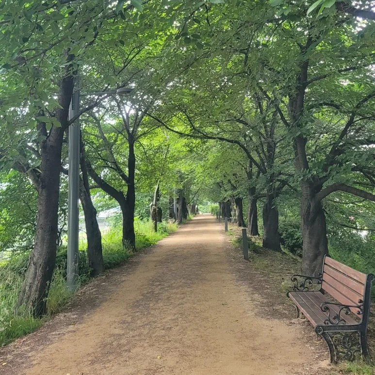 SE-5712e7cf-b1a7-4be7-8108-c6a513e7868d.jpg?type=w773