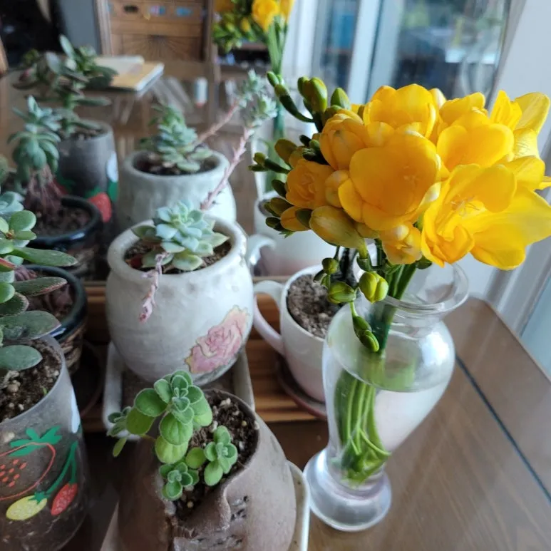 3472446080797274161:29062375.jpg?type=w773