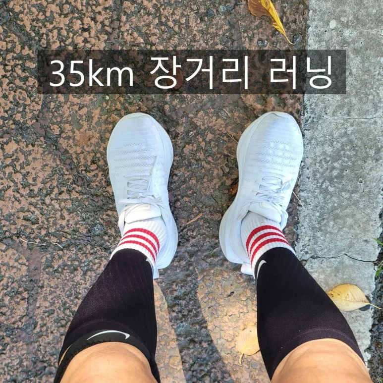 SE-d0d024a0-4f25-40dc-8638-4f192c91ca33.jpg?type=w773