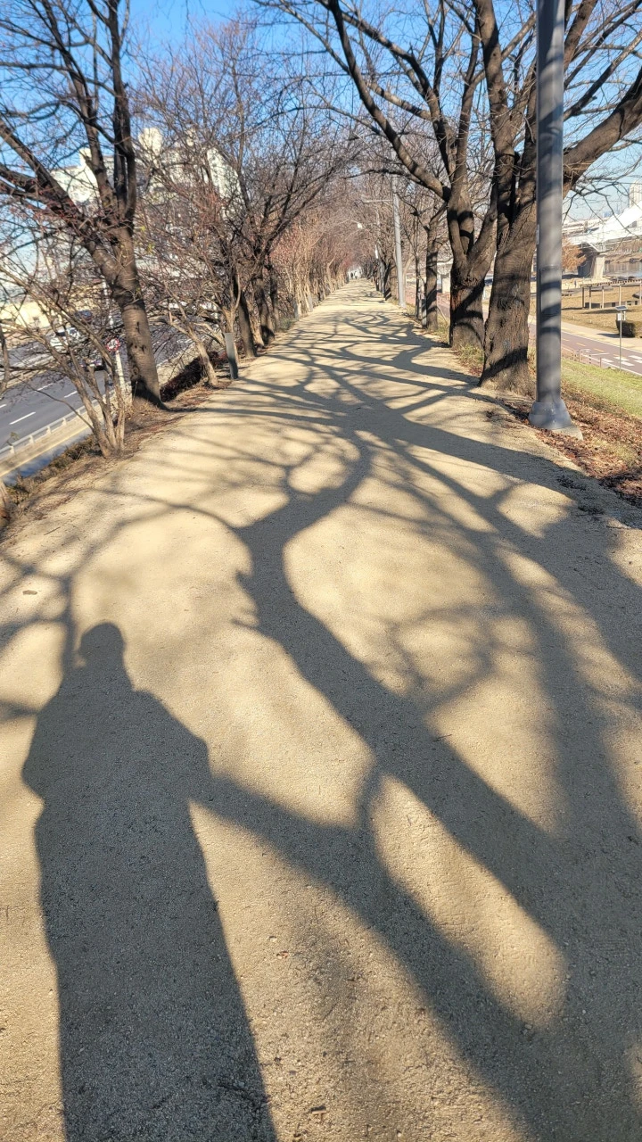 3472591538219353948:29062375.jpg?type=w773