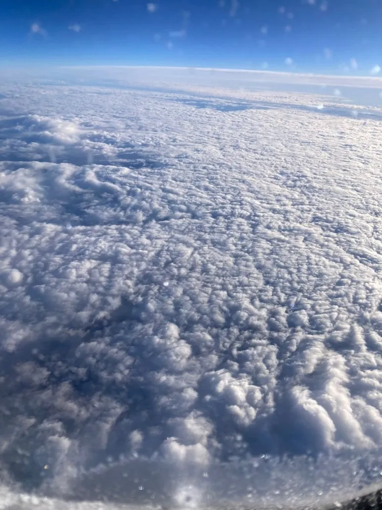 1738834651918.jpg?type=w773