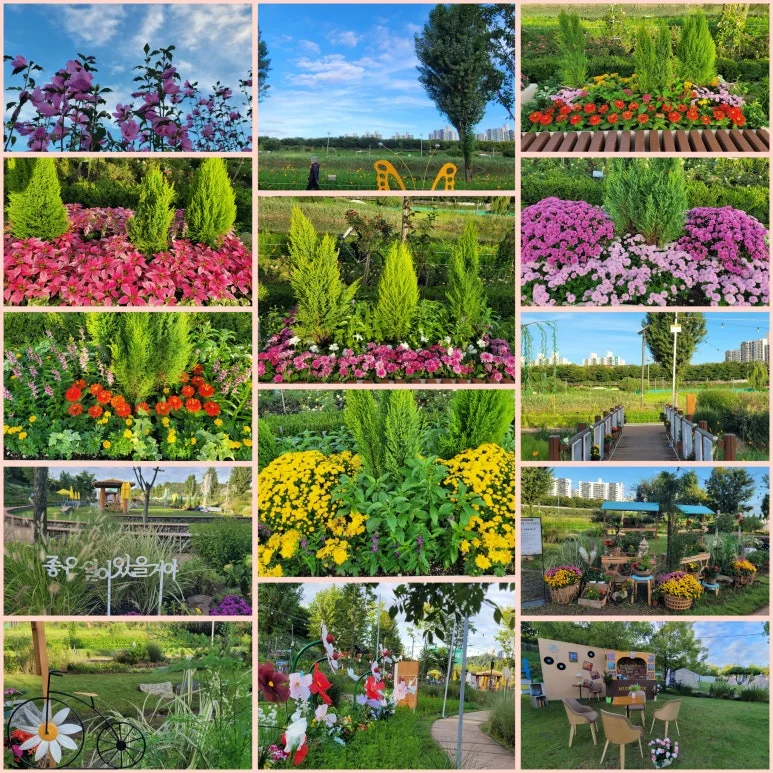 GridArt_20250922_141815849.jpg?type=w773