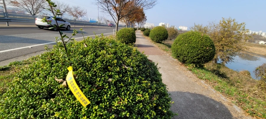 20211120%EF%BC%BF141535.jpg?type=w1