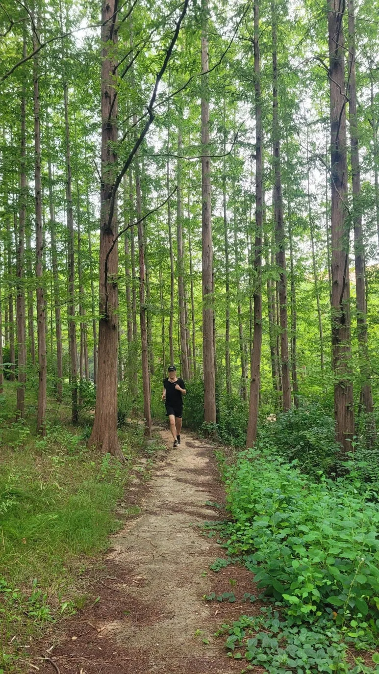 SE-51fdb029-fdf0-447c-8a74-7b7aee646fb1.jpg?type=w773