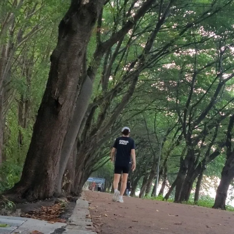 SE-3e1bd083-ed9e-4947-b8f4-a24211d195dc.jpg?type=w773