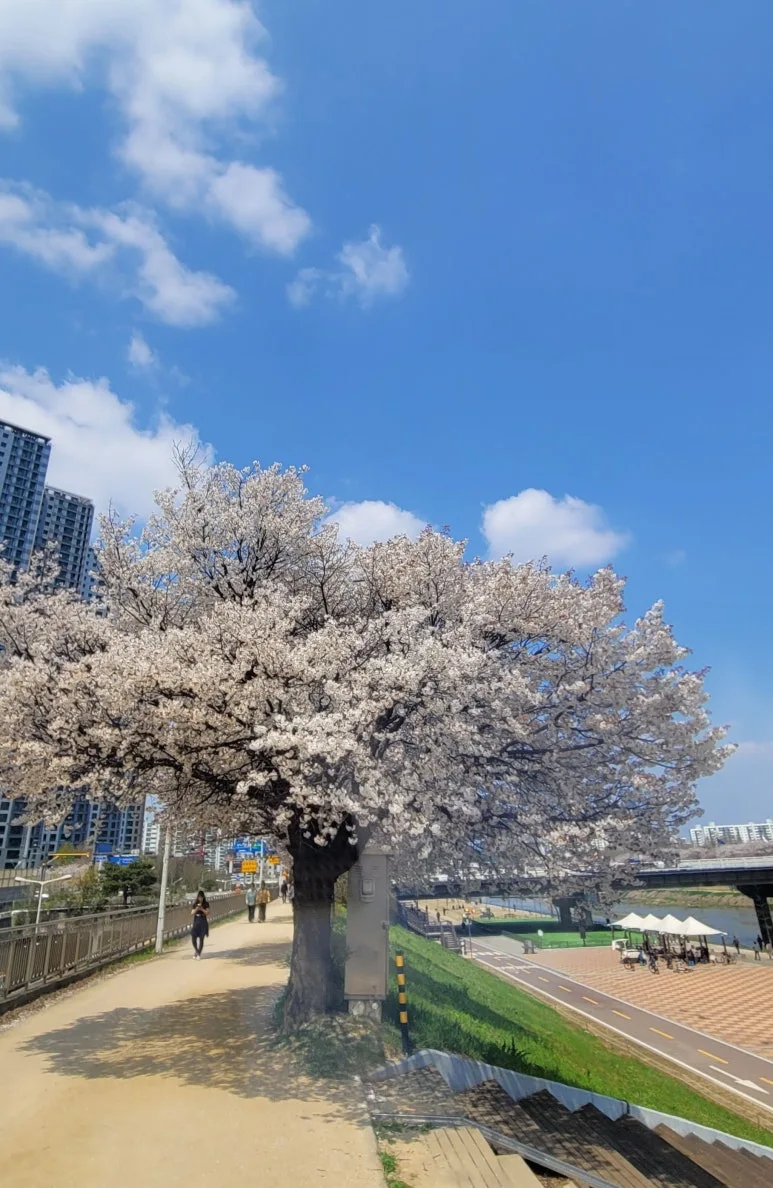 20250410_124815.jpg?type=w773