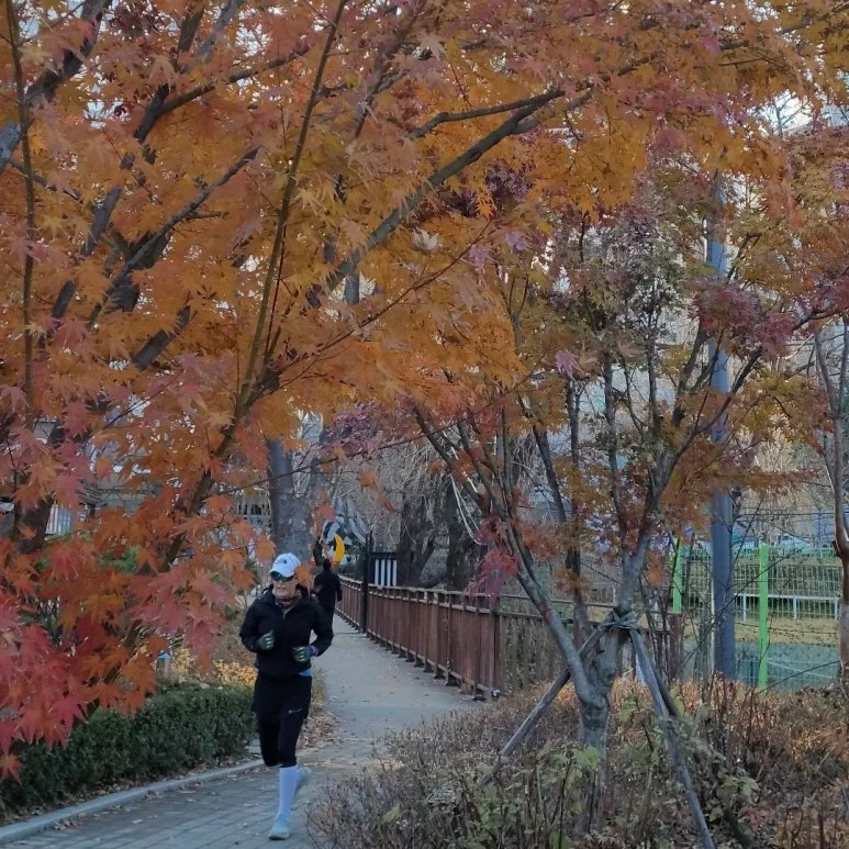 SE-a776377b-3146-4152-8ace-6b9b6e50620d.jpg?type=w773