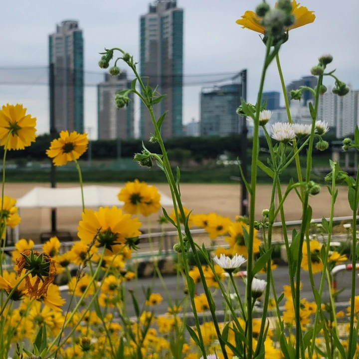 SE-a7ddfb8d-66c7-4d4c-80c5-b8b134de3425.jpg?type=w773