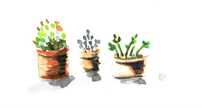 temp_1663755581350.814056443.jpeg?type=w773