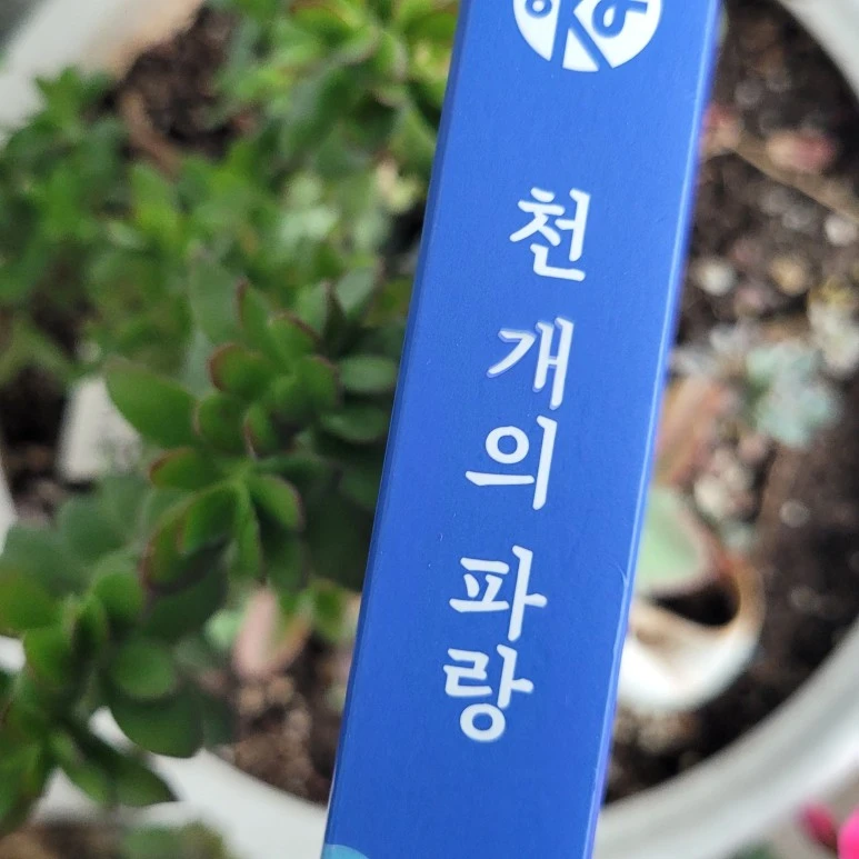 20240221_132559.jpg?type=w773