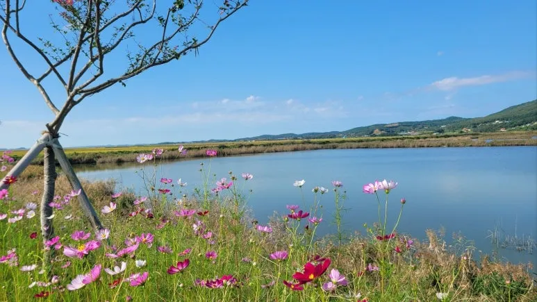 1727749759001.jpg?type=w773