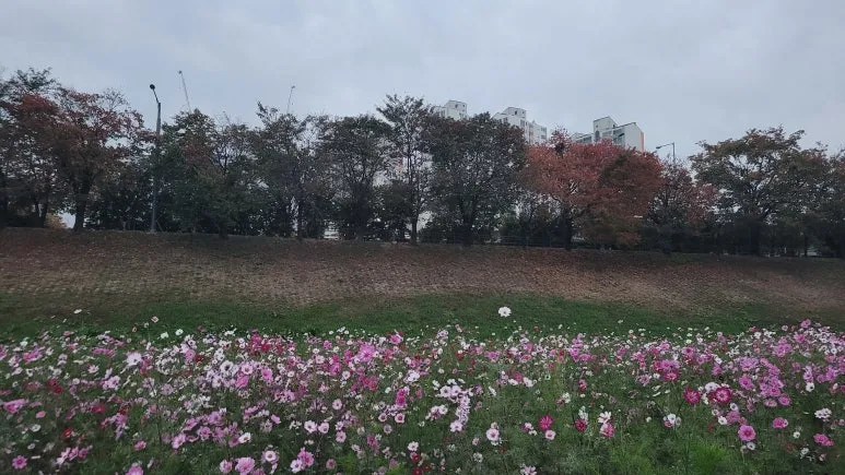 20241101_065116.jpg?type=w773