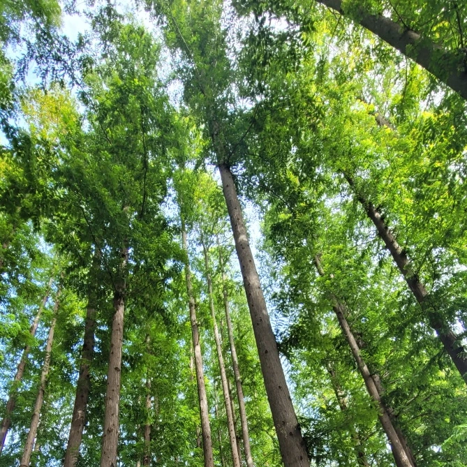 SE-0d968e6a-c676-44e8-85ba-89626442c333.jpg?type=w773