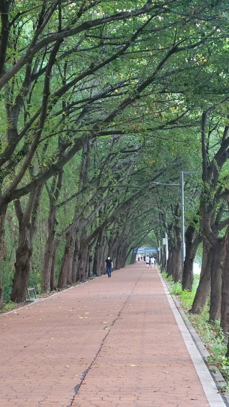 20240910_065332.jpg?type=w773