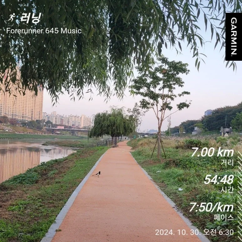 1730241156195.jpg?type=w773