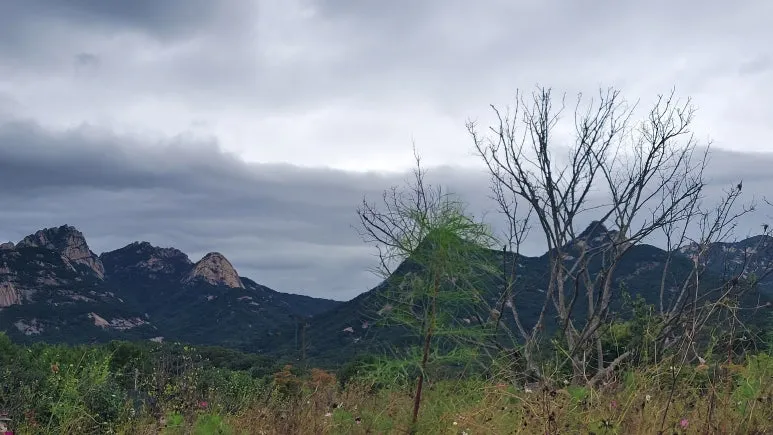 20251012_153524.jpg?type=w773