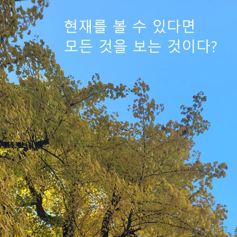 SE-8e0835d7-19ef-486d-8b79-1b8c7f1aa2c5.jpg?type=w773