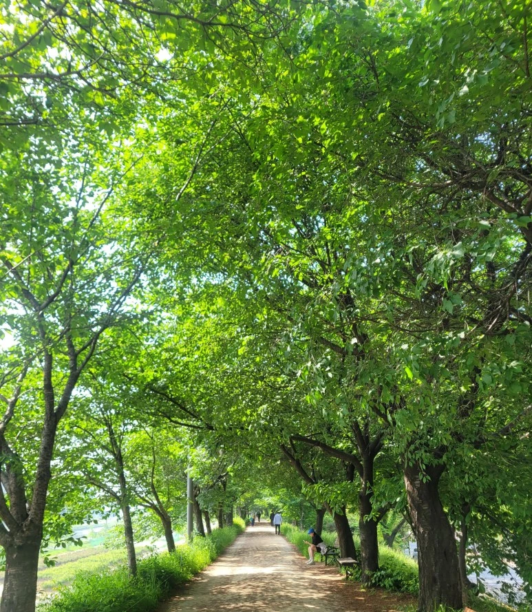 SE-8dc8b693-395d-4ef7-901a-b0bdbd6128ab.jpg?type=w773