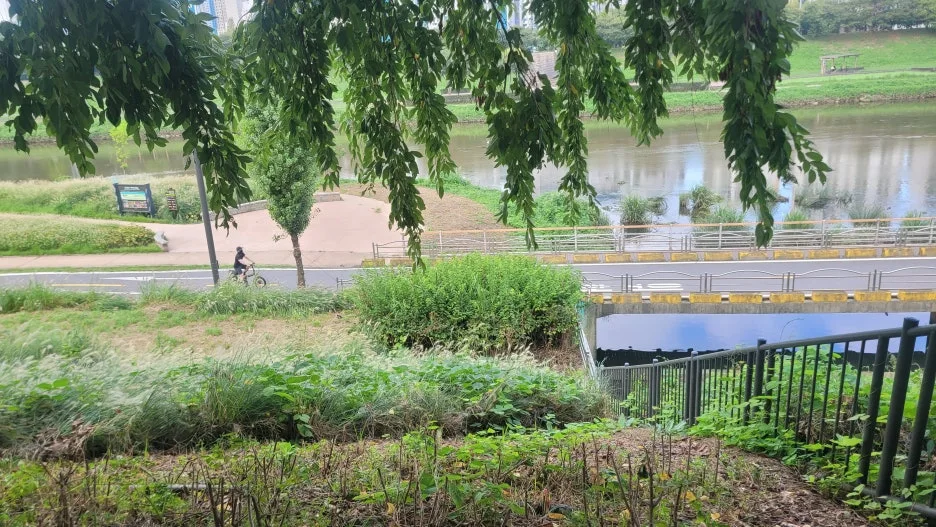 20240915_092516.jpg?type=w1