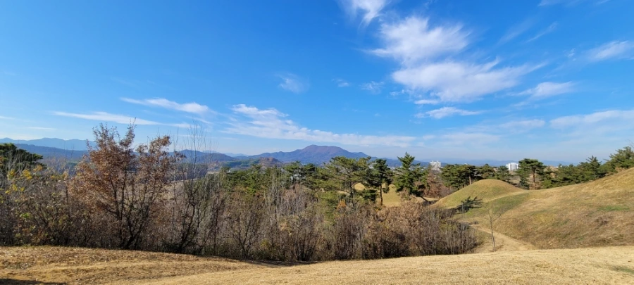 20211129%EF%BC%BF135200.jpg?type=w1