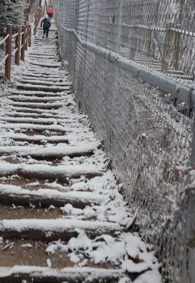 Screenshot_20231216_115120_Gallery.jpg?type=w773