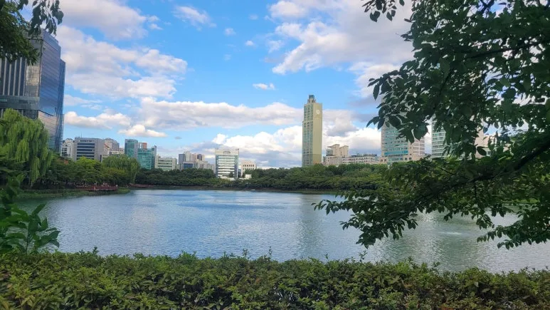 20250918_165851.jpg?type=w773