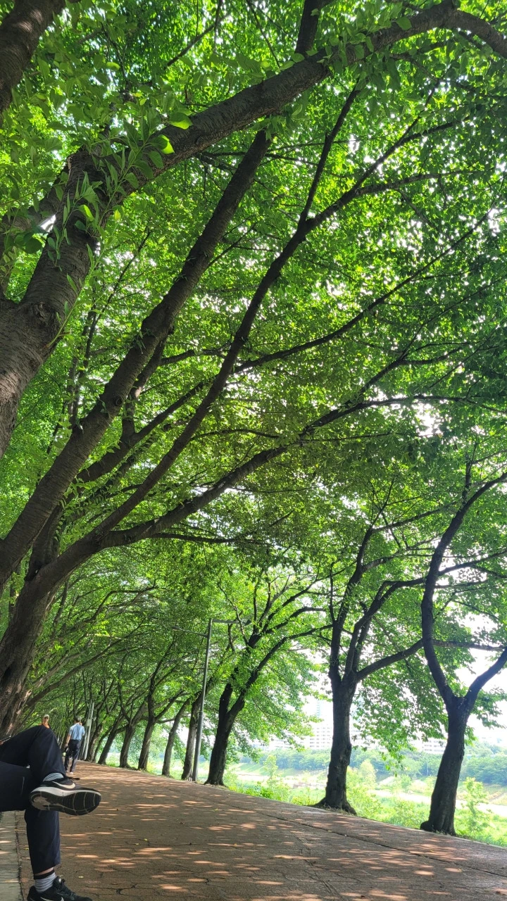 3472575279281619292:29062375.jpg?type=w773