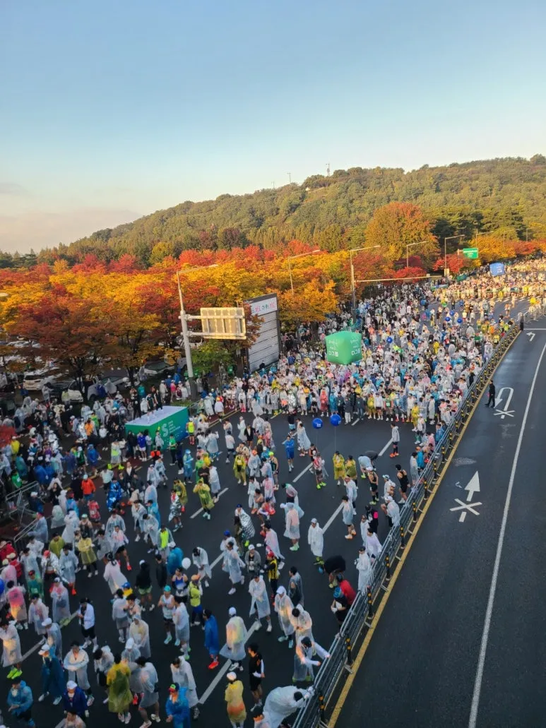 3472594947510017372:29062375.jpg?type=w773